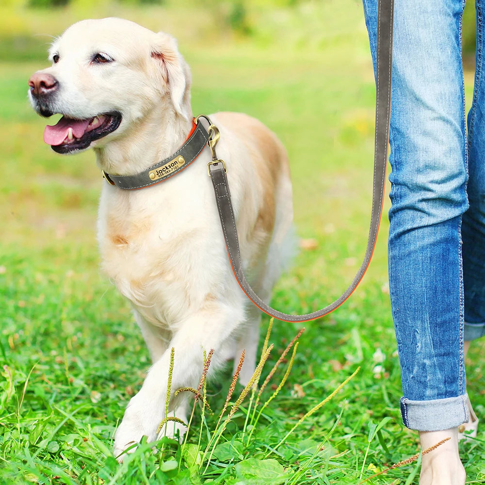 Leather Personalized Dog Collar Leash Custom Pet Name ID Collar Free Engraving