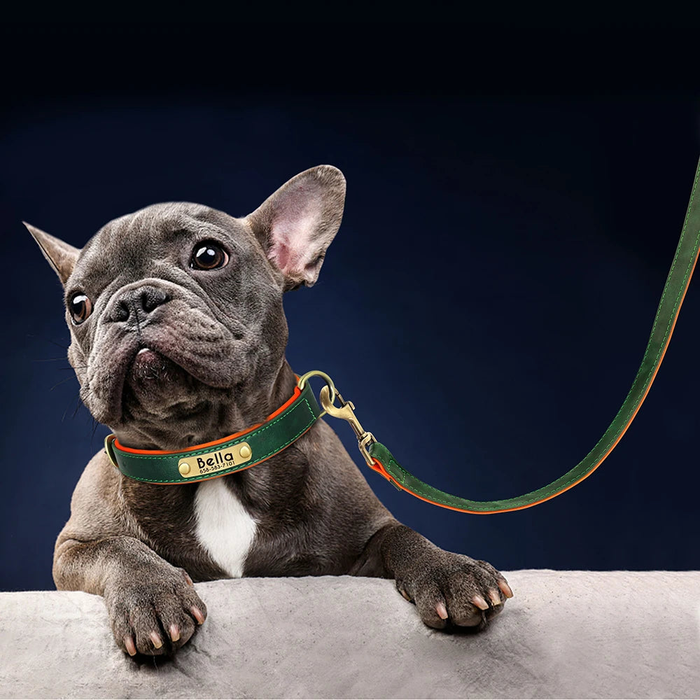 Leather Personalized Dog Collar Leash Custom Pet Name ID Collar Free Engraving
