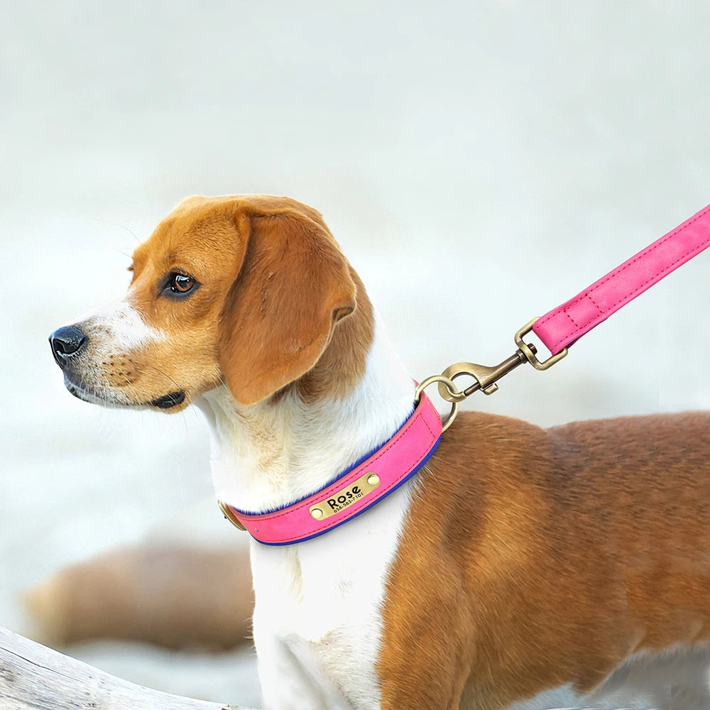 Leather Personalized Dog Collar Leash Custom Pet Name ID Collar Free Engraving