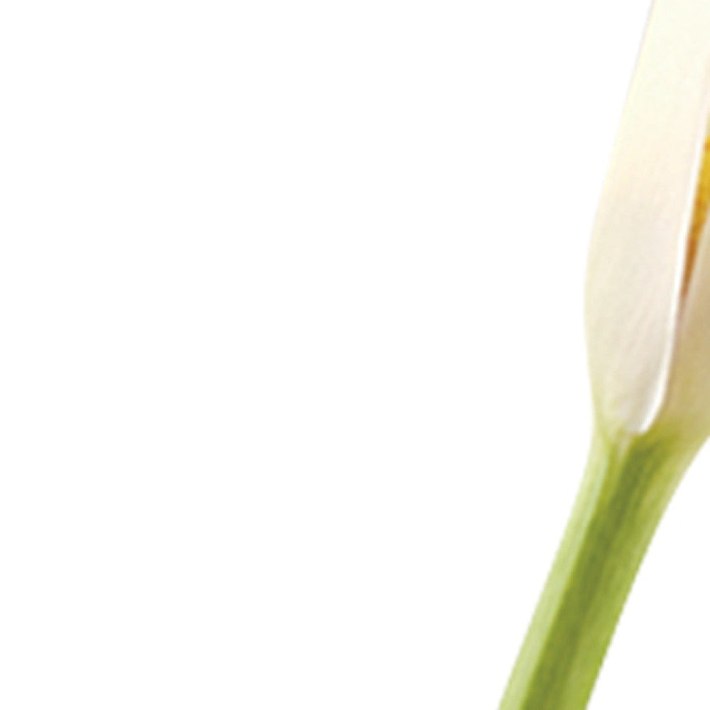 9" Clear Cylindrical Lead Free Crystal Bud Table Vase