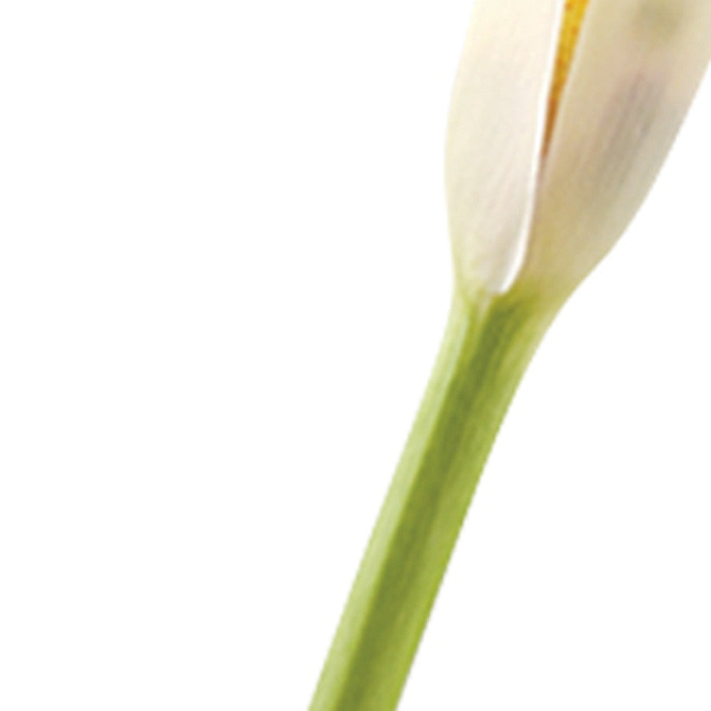 9" Clear Cylindrical Lead Free Crystal Bud Table Vase