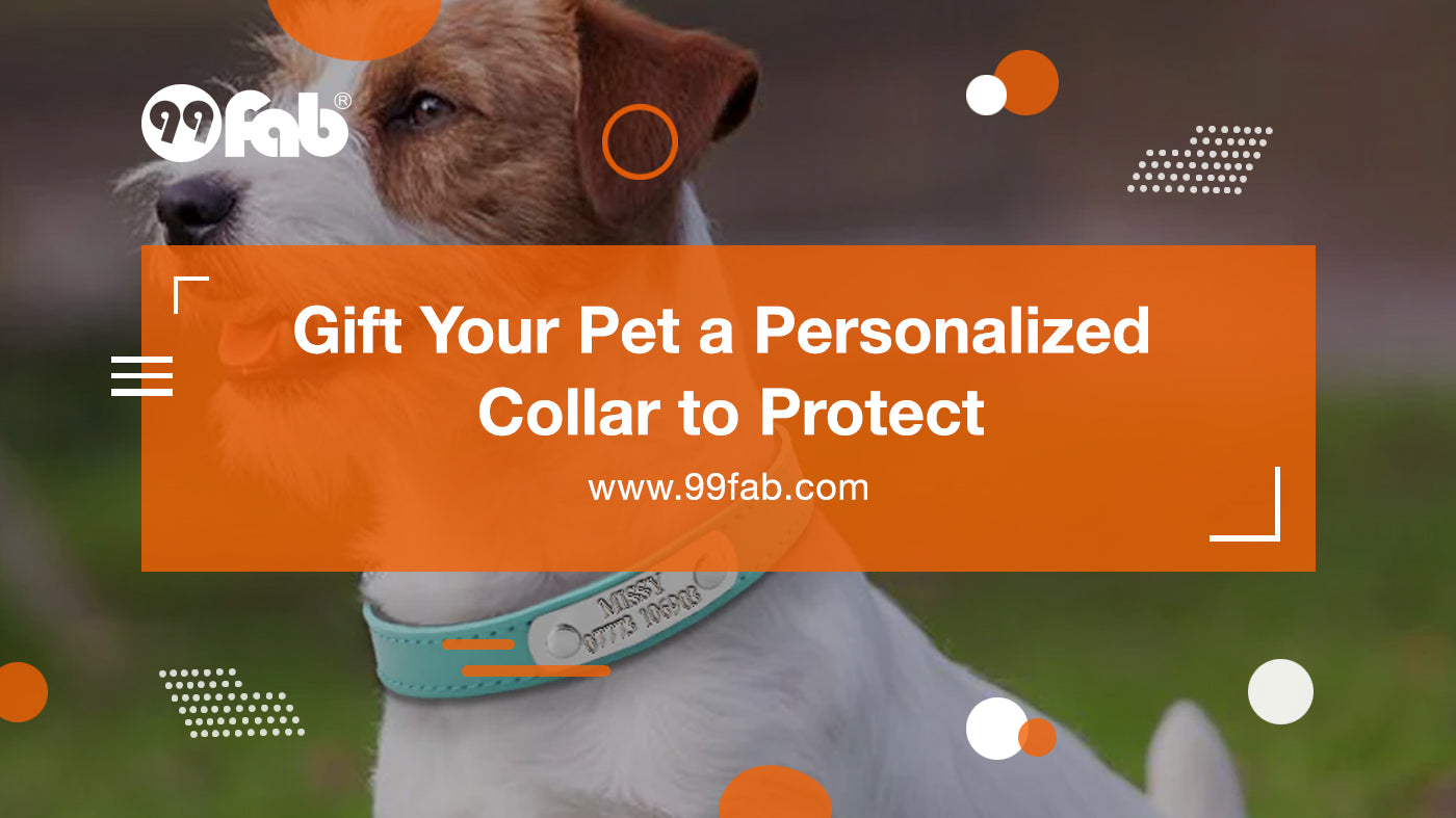 Gift Your Pet a Personalized Collar to Protect