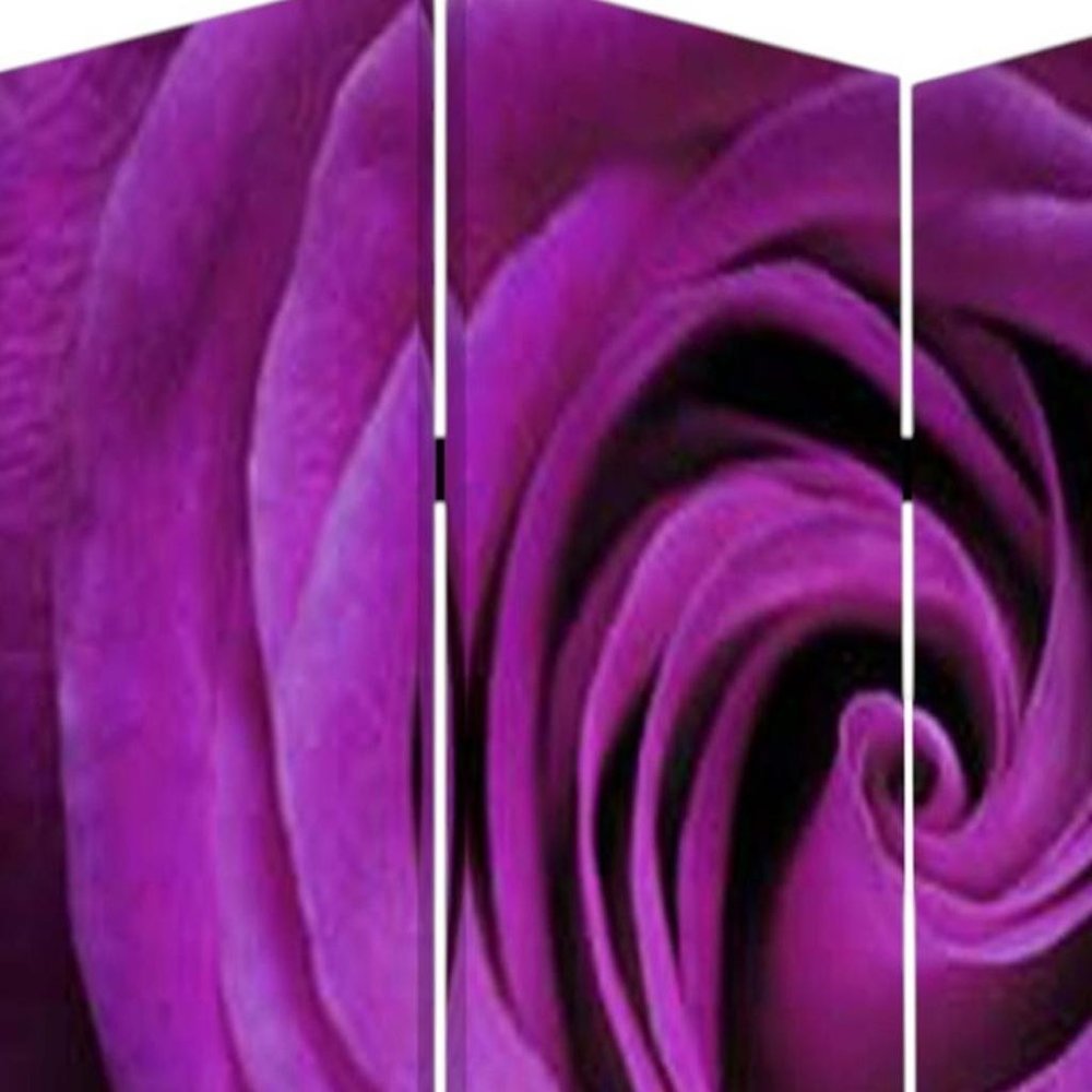 48 X 72 Multi Color Wood Canvas Flourish  Screen