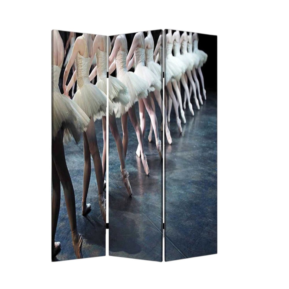 48" X 72" Multi Color Wood Canvas Ballet  Screen
