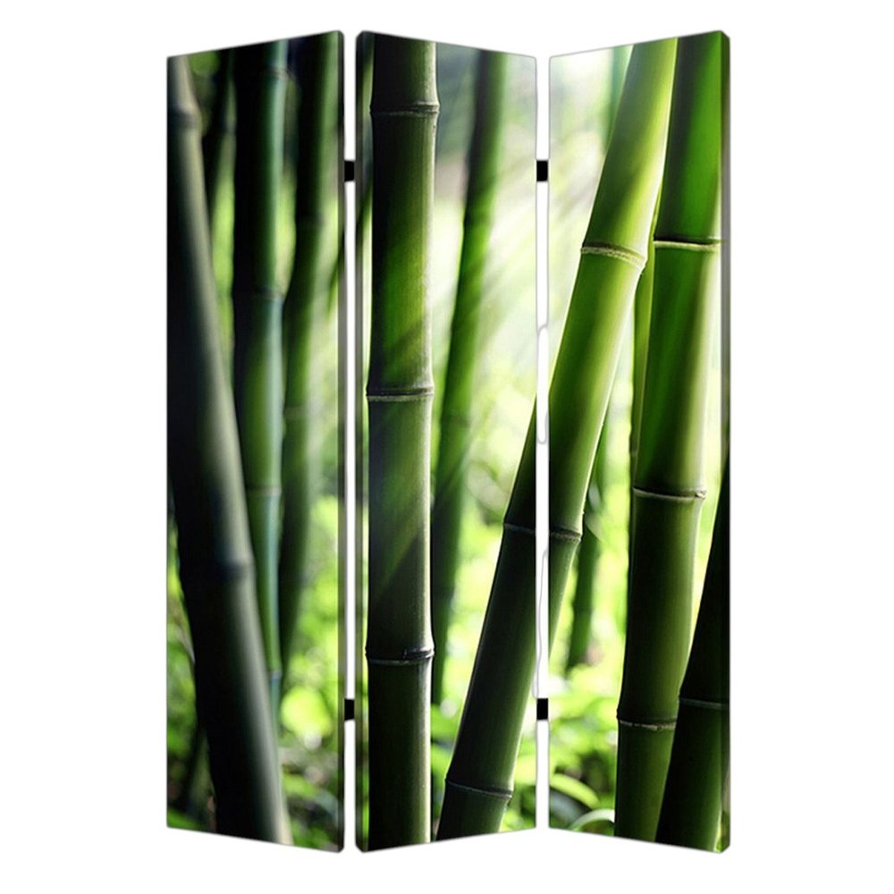 72" Green Canvas Folding Three Panel Screen Room Divider