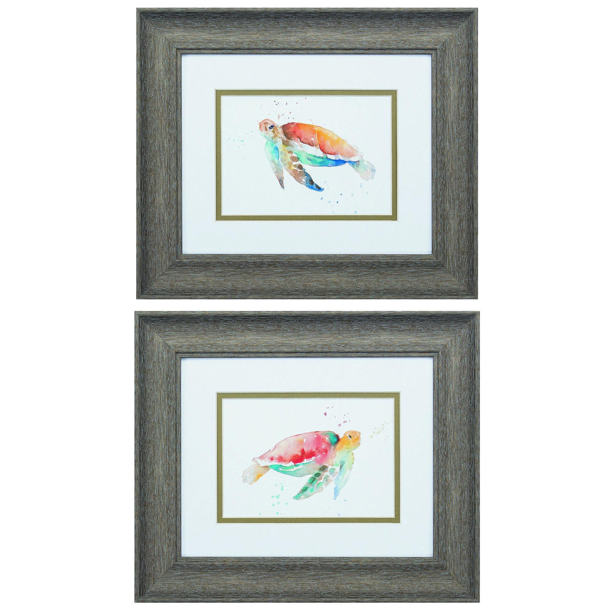 Set of Two Red and Blue Turtle Framed Wall Art