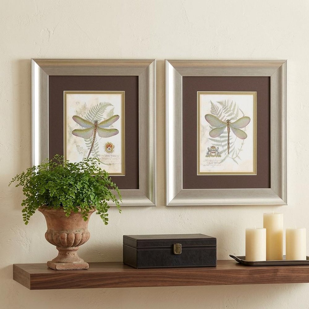 11" X 13" Brushed Silver Frame Dragonfly (Set Of 2)
