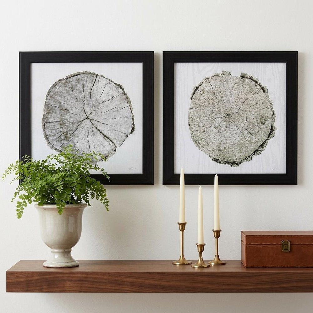 14" X 14" Dark Wood Toned Frame Woodland Years (Set Of 2)