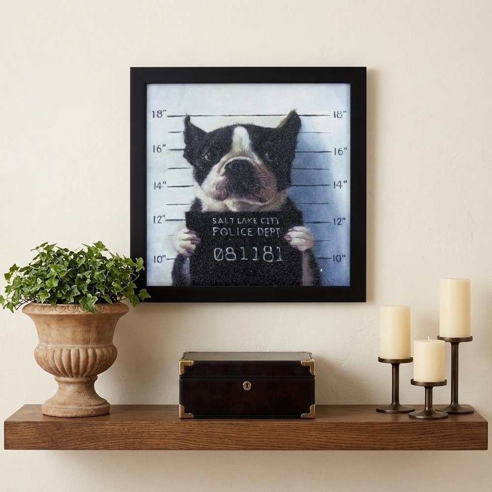 11" X 11" Black Frame Mug Shot