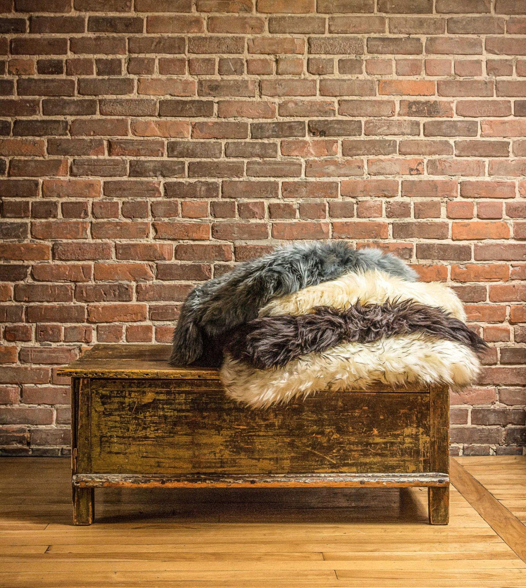 2' X 3' Cream Shag Area Rug