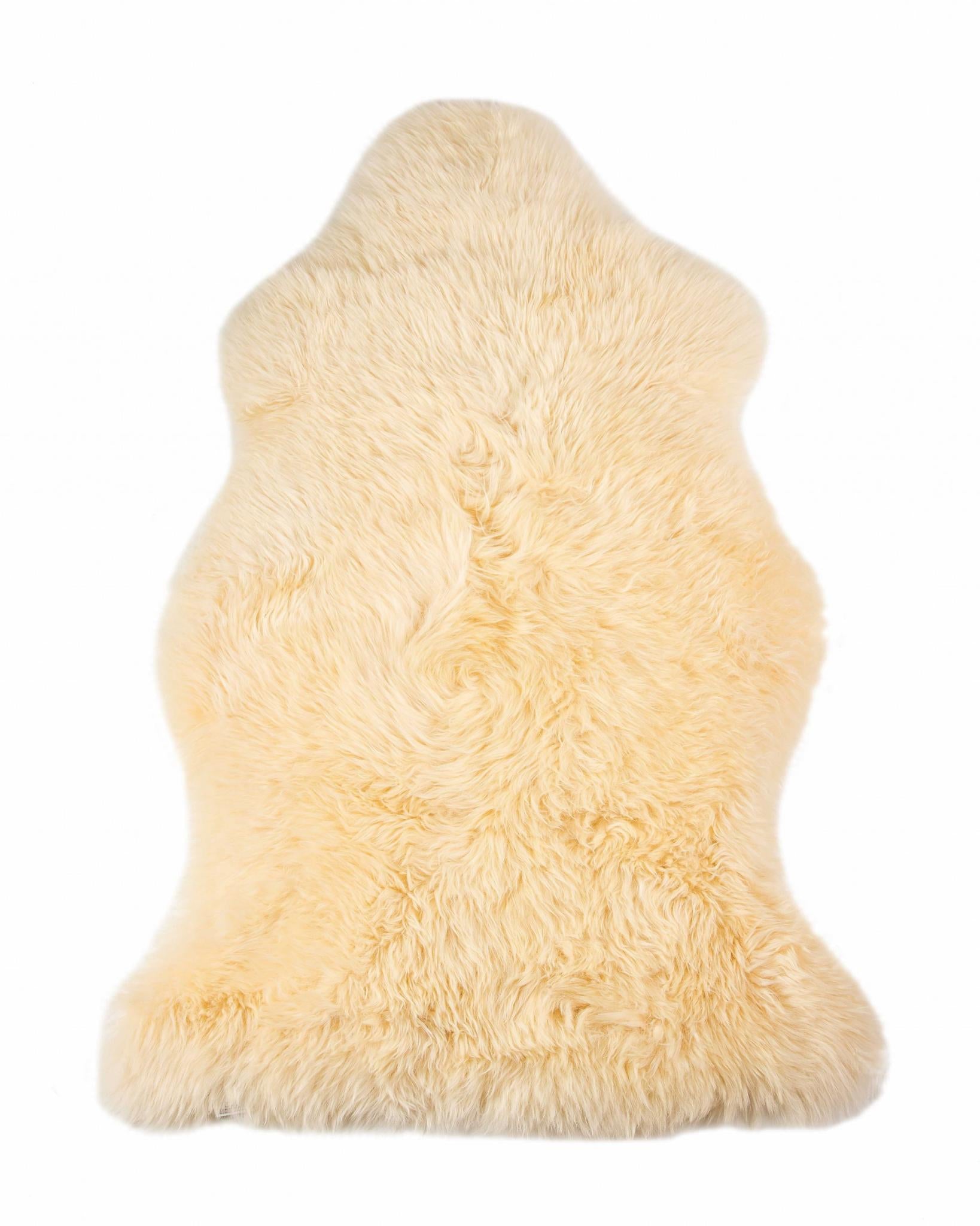 2' X 3' Beige Shag Area Rug