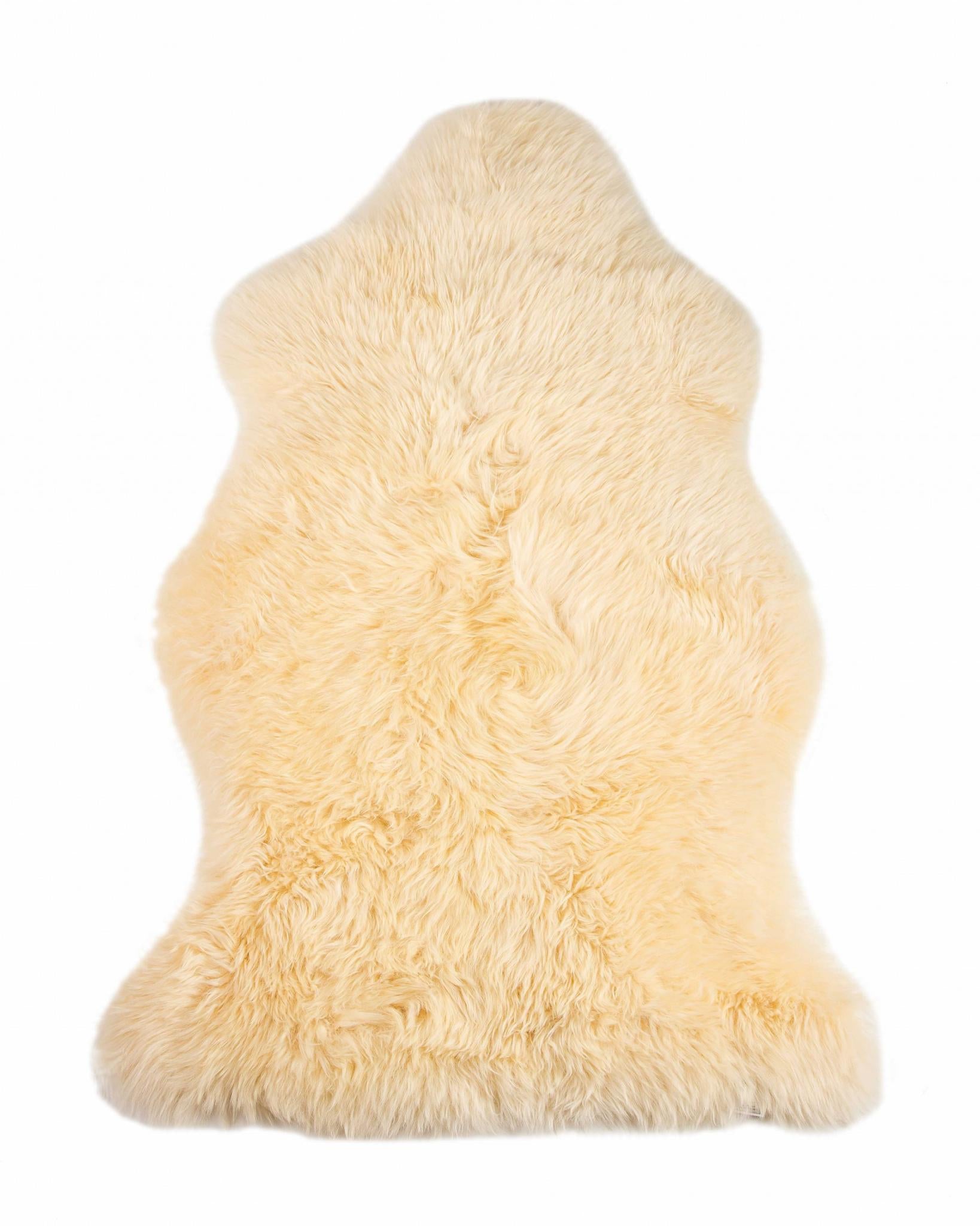 2' X 3' Beige Shag Area Rug