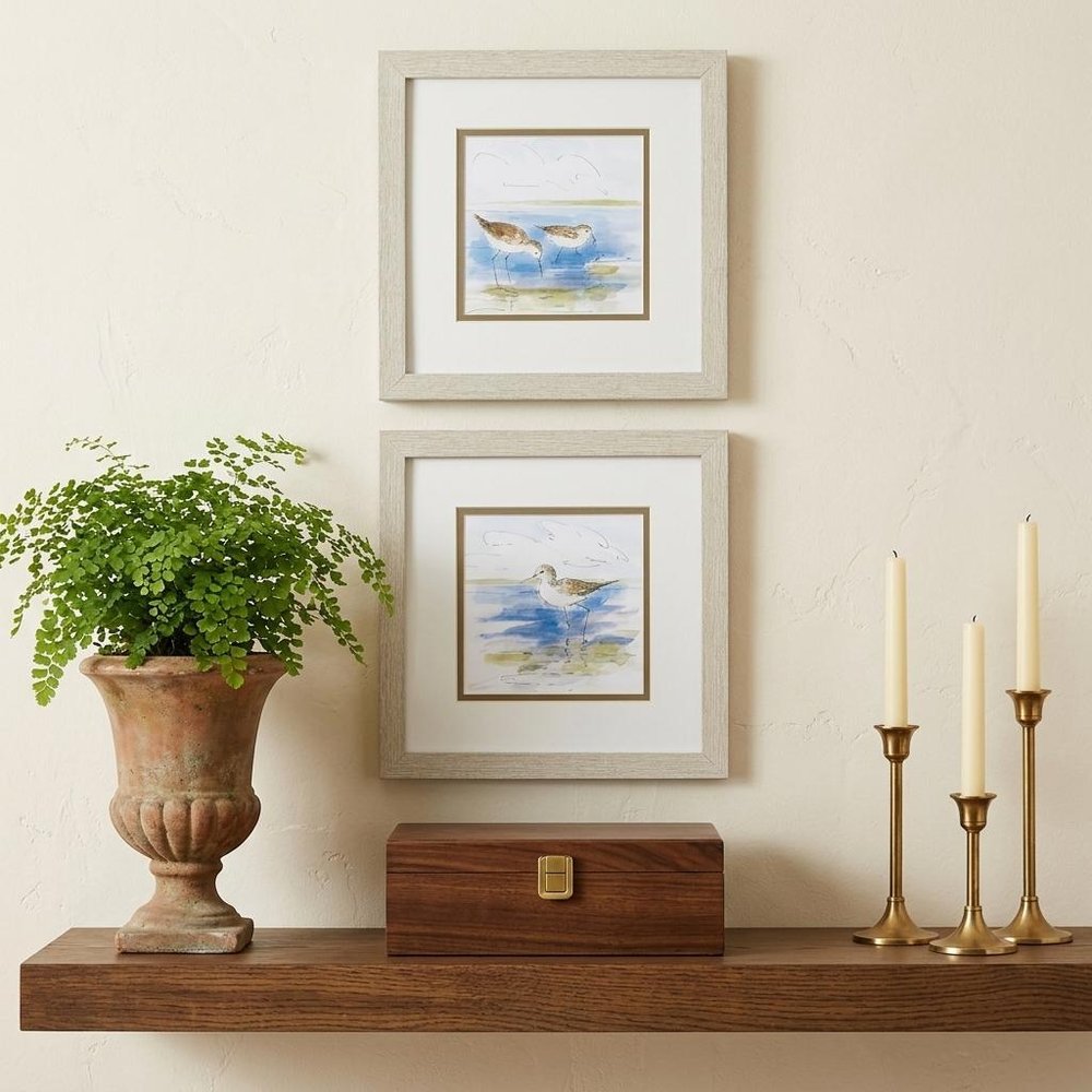 Set Of 2 Watercolor Shore Birds Framed Art