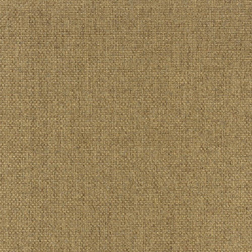 2' X 4' Tan Indoor Outdoor Area Rug