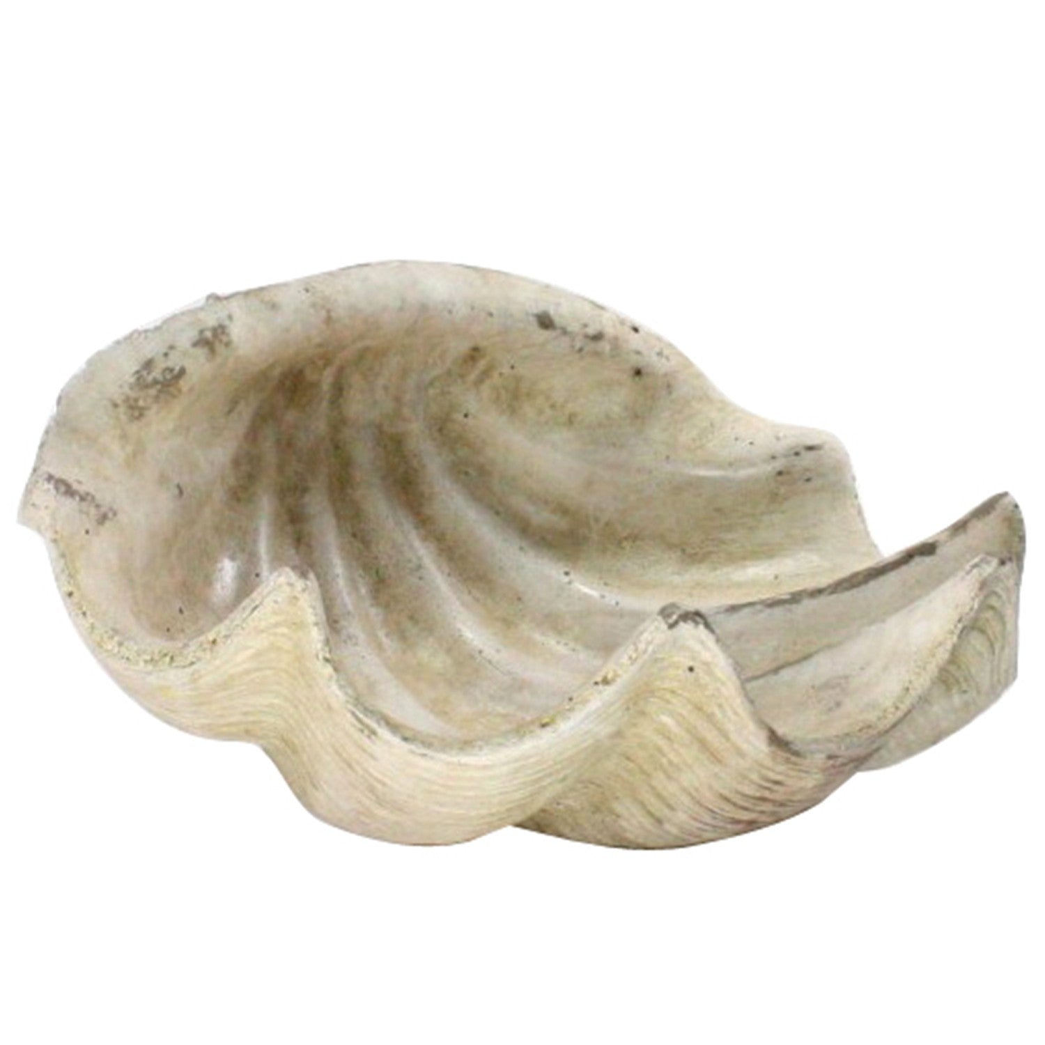 White Sea Shell Sculpture