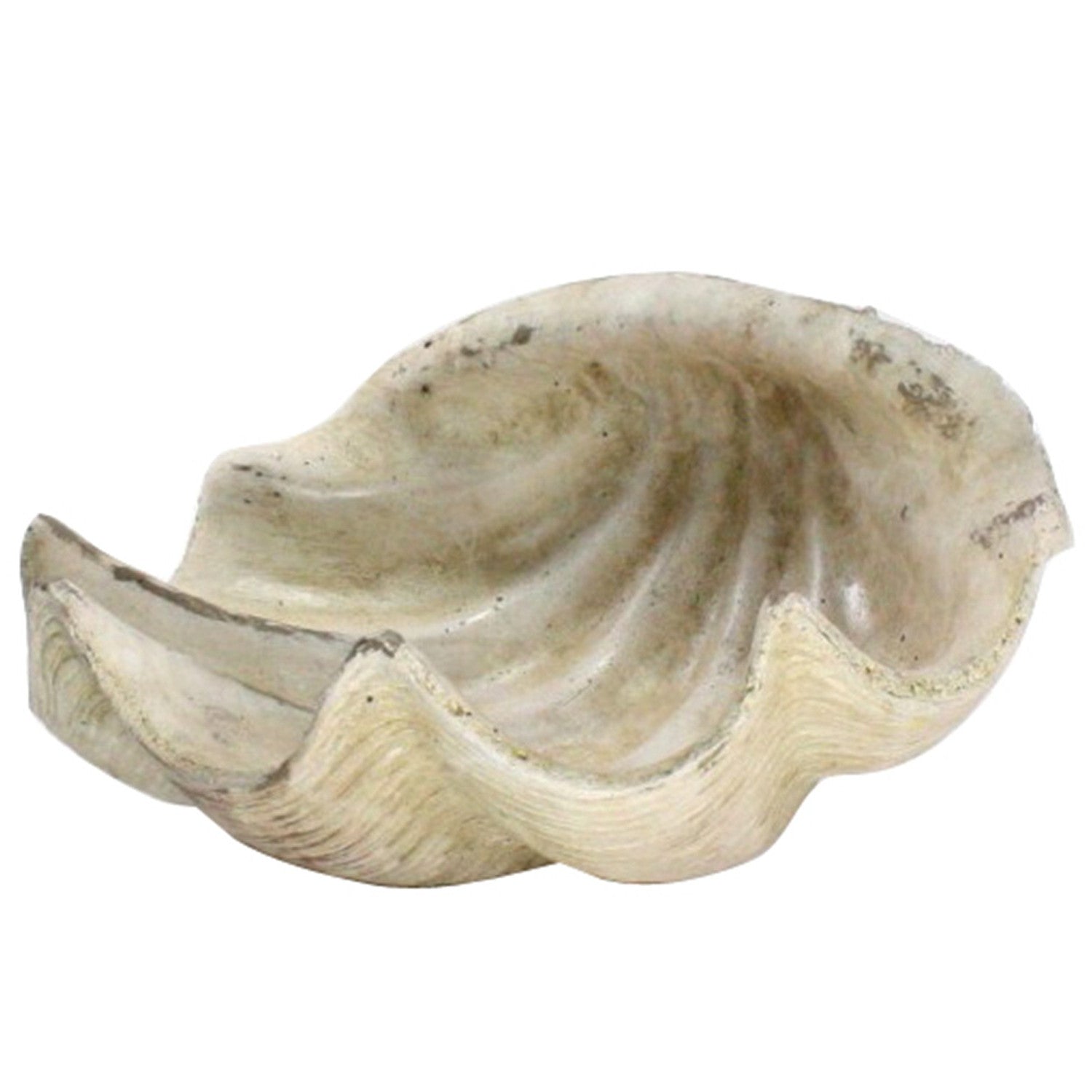 White Sea Shell Sculpture