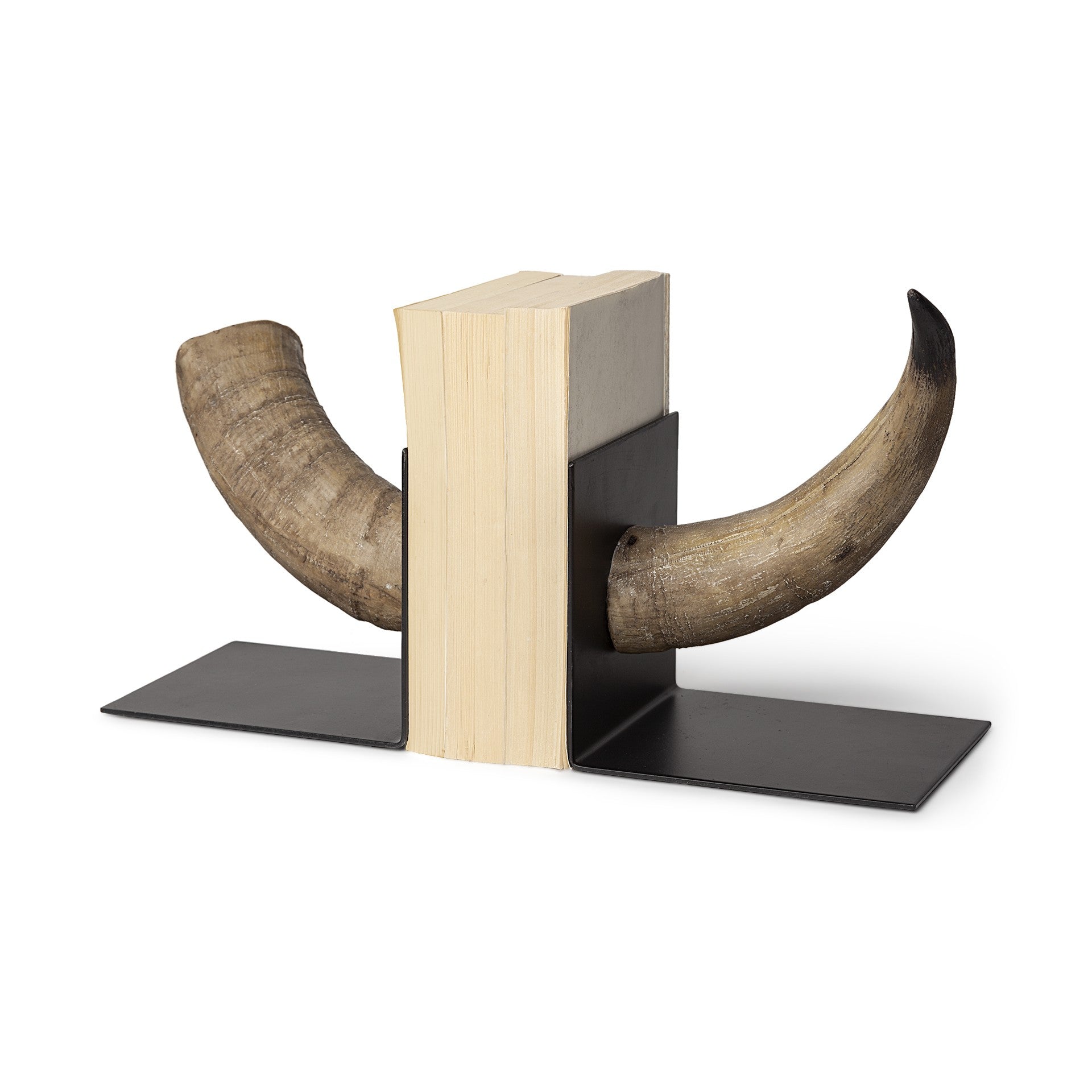 Bull Horn Replica Bookends