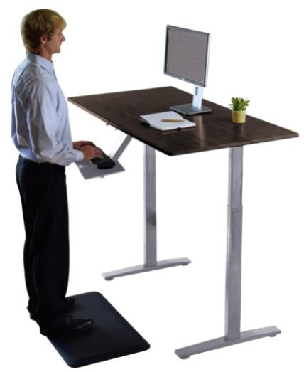 Premier Silver Dual Motor Electric Office Adjustable Standing Desk