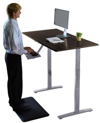 Premier 45" Gray Dual Motor Electric Office Adjustable Standing Desk