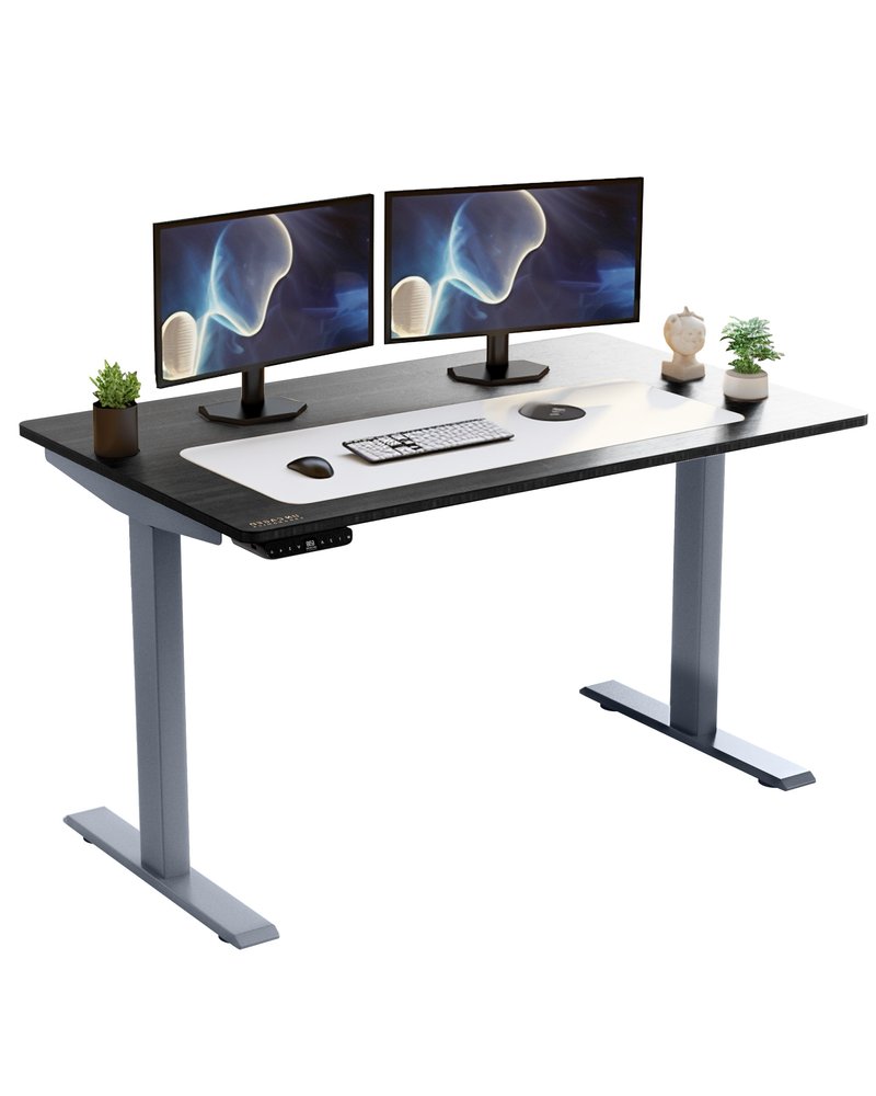 48" Adjustable Black and Gray Standing Desk