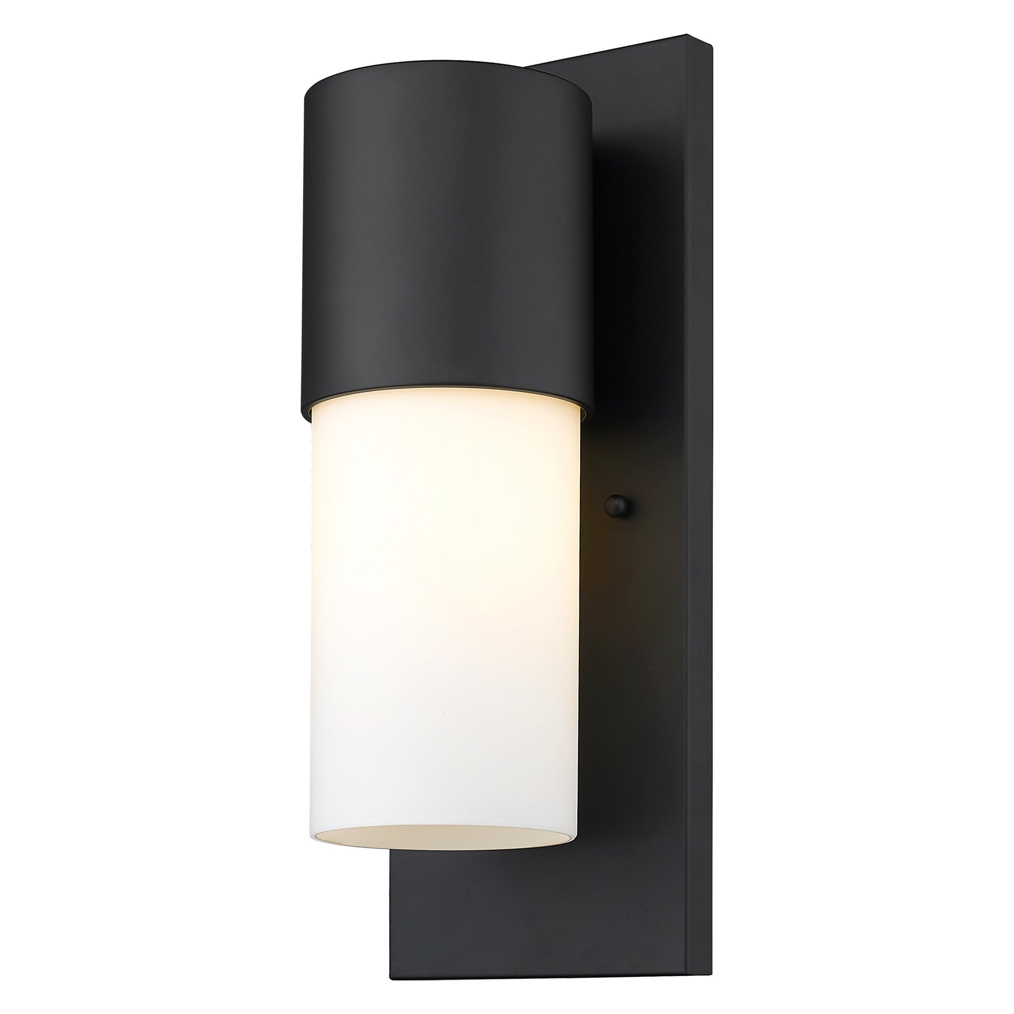 Contemporary Matte Black and White Wall Light