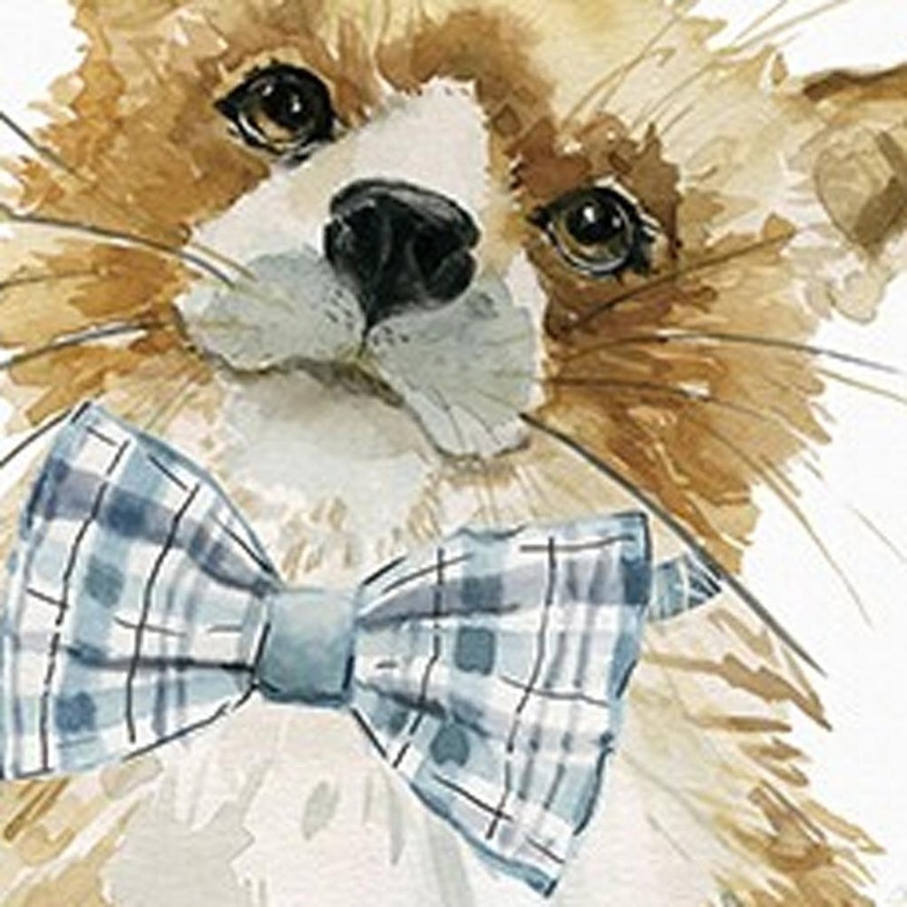 20" x 20" Watercolor Cutie Bow Tie Fox Canvas Wall Art