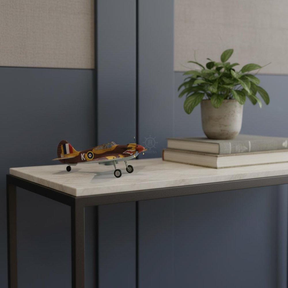 c1941 Curtiss Hawk 81A Large Sculpture