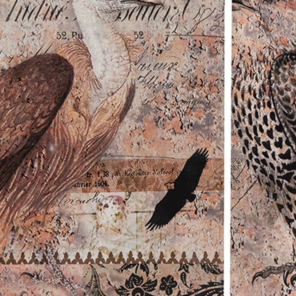 Set of 2 Antique Post Card Birds Wall Art