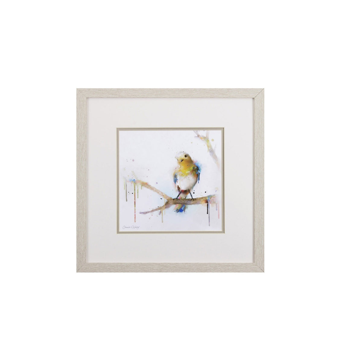 Set of Four Colorful Birds on Branches Wall Art