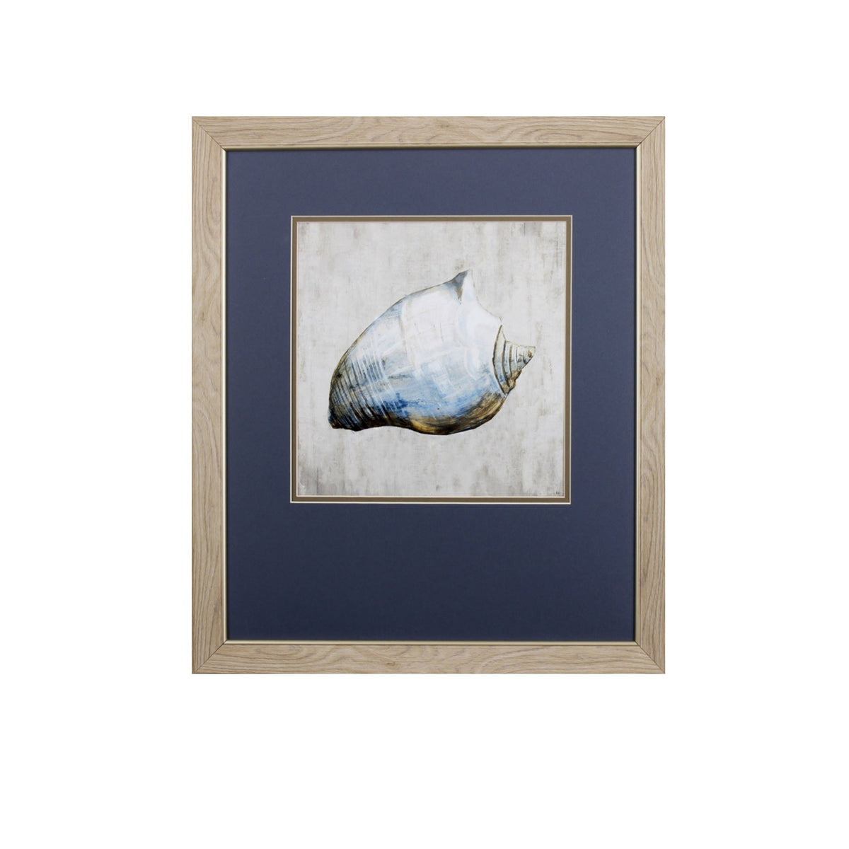Set of Two Ocean Seashells Wall Art