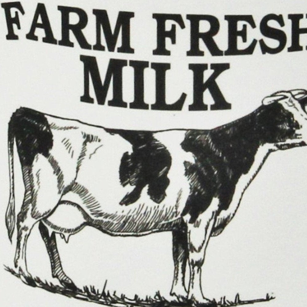 8" Black And White Metal Jug Vase