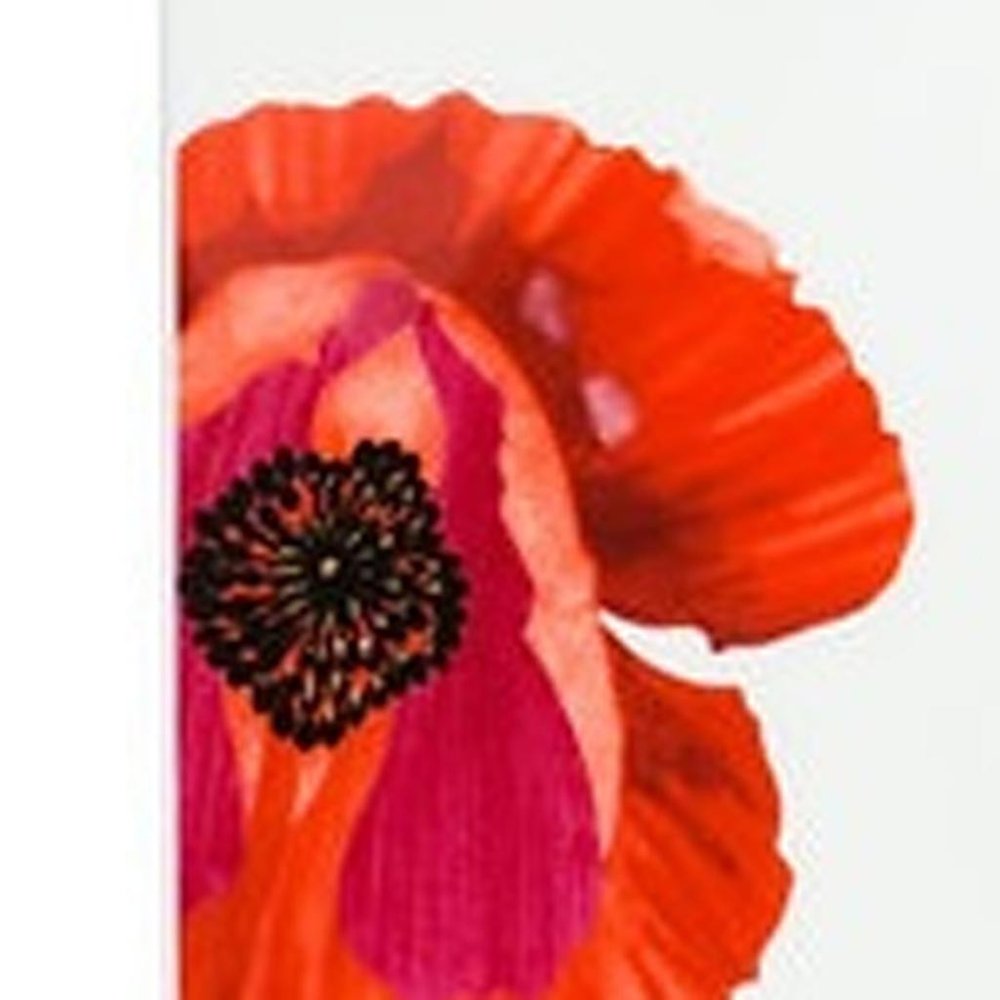 Red and White Four Piece Square Floral Bone China Dinnerware Set