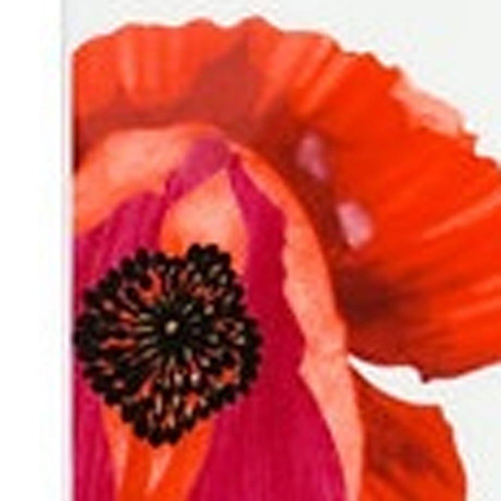 Red and White Four Piece Square Floral Bone China Dinnerware Set