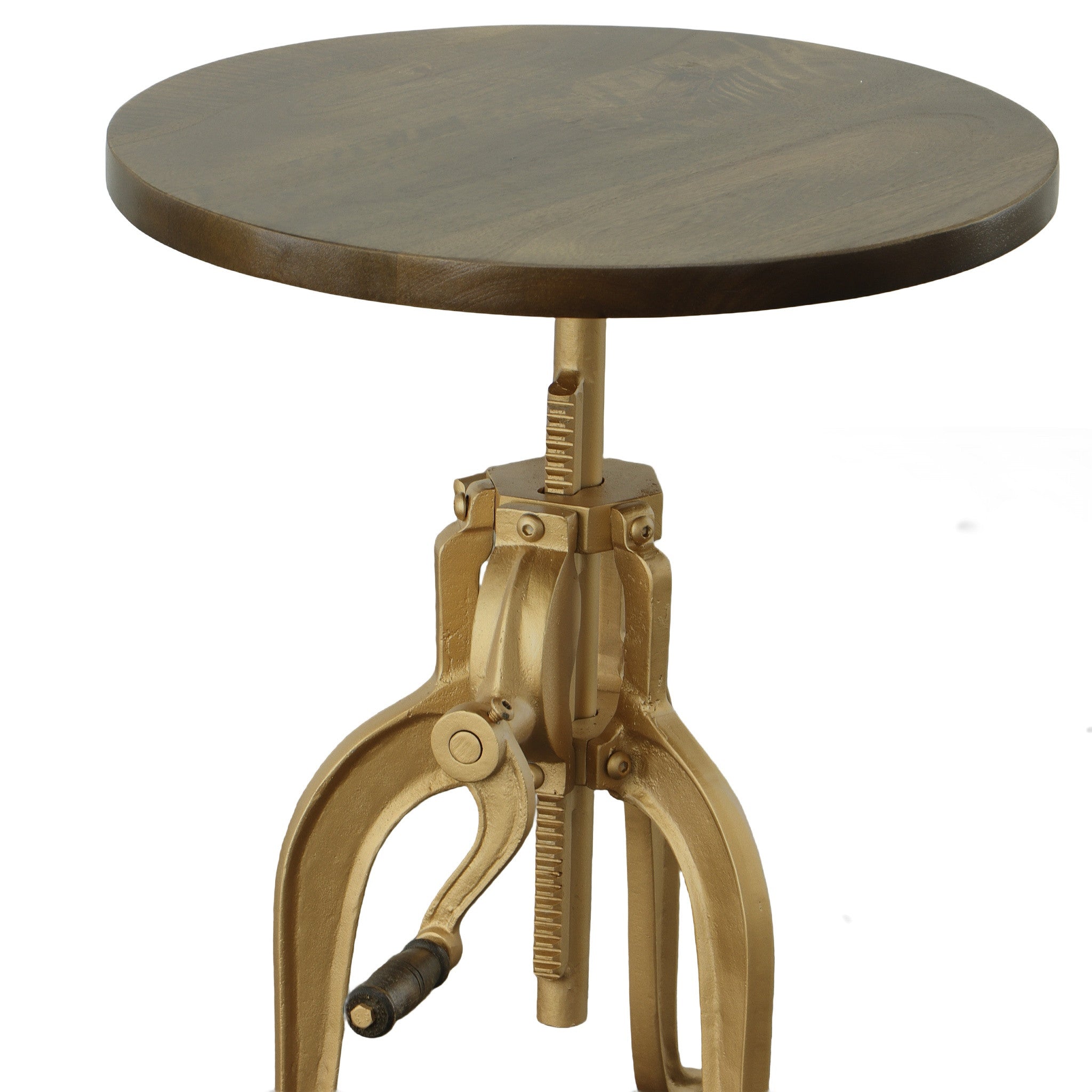 19" Gold And Elm Solid Wood Round End Table