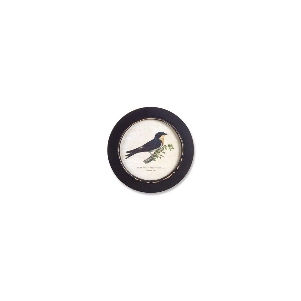 Set of Three Black Bird Circle Framed Art