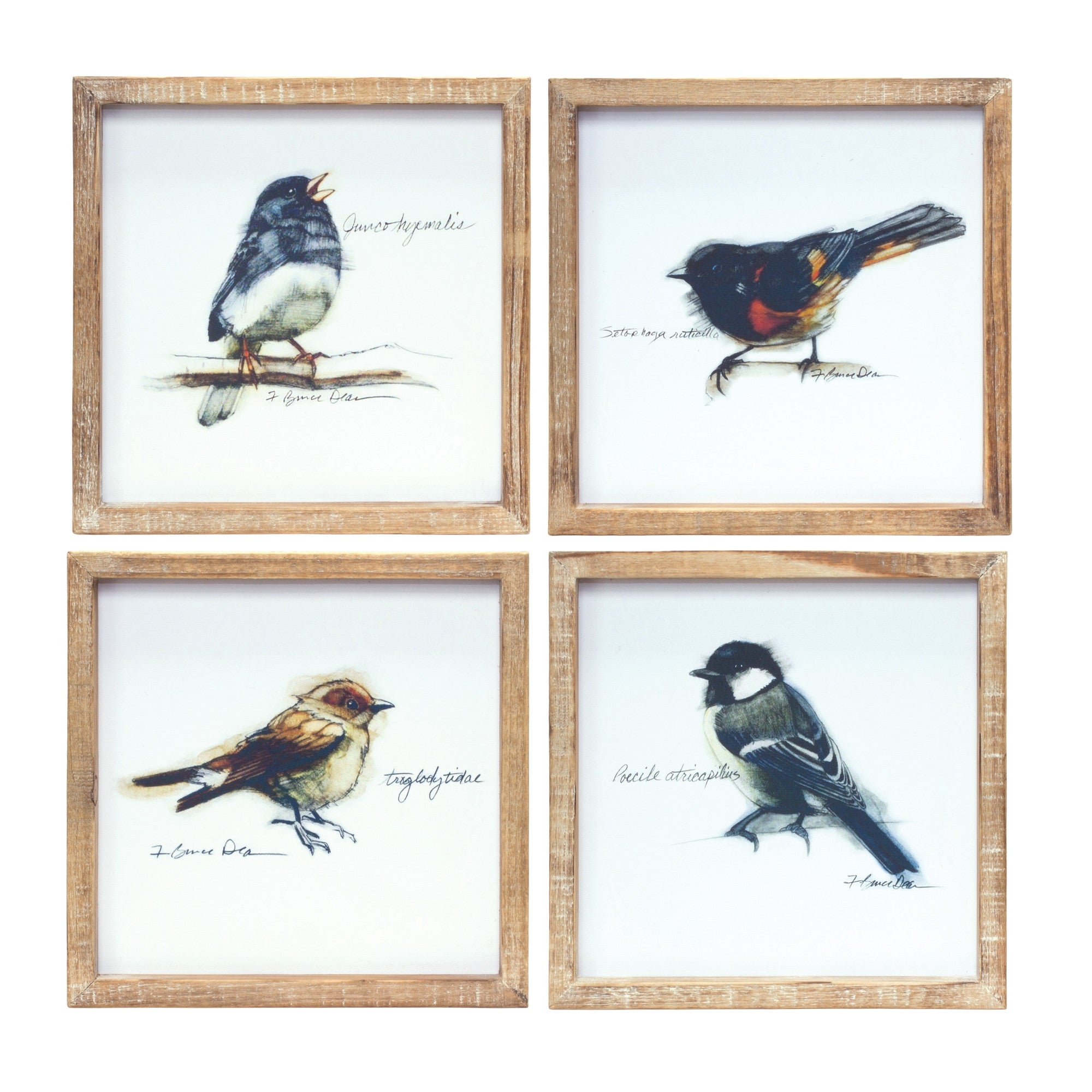 Set of Four Brown Bird Solid Wood Square Framed Art