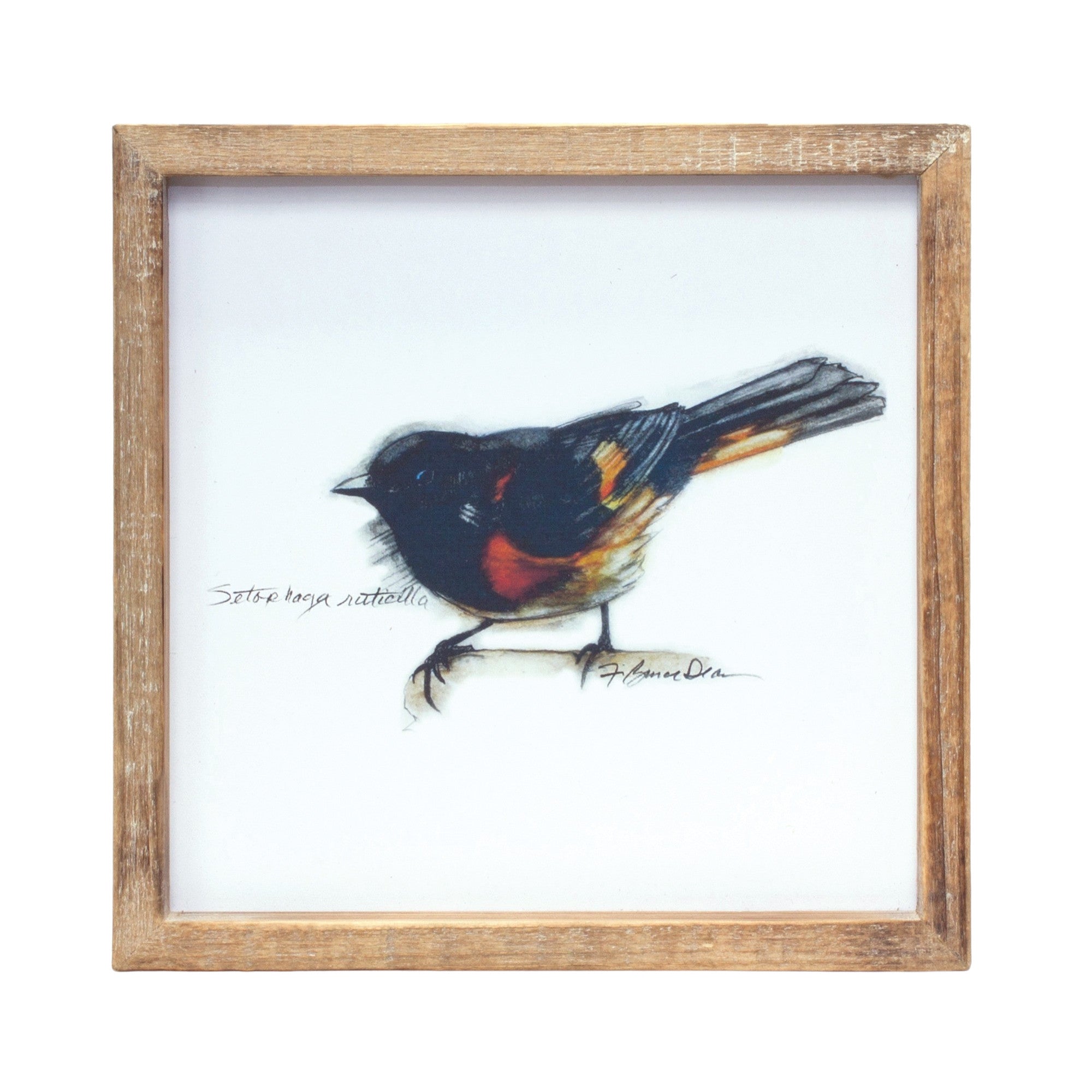 Set of Four Brown Bird Solid Wood Square Framed Art