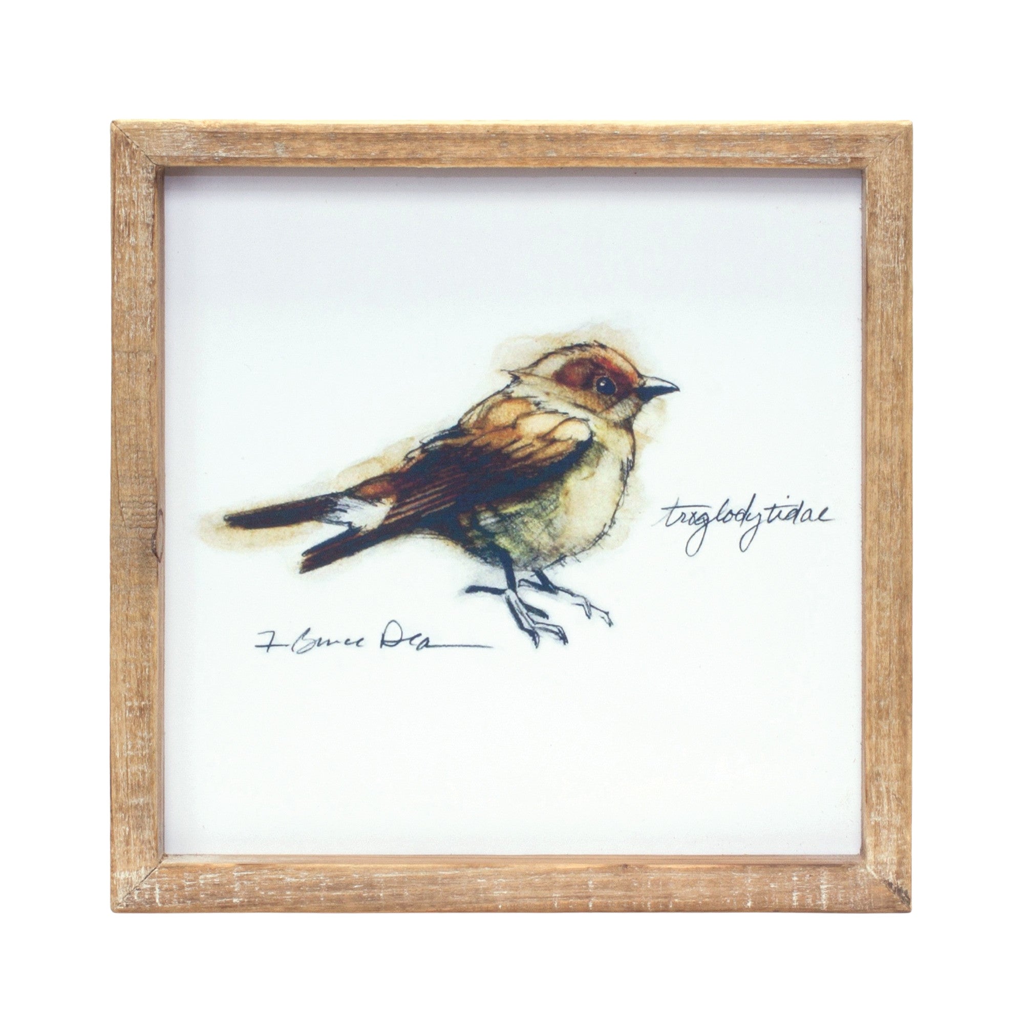 Set of Four Brown Bird Solid Wood Square Framed Art