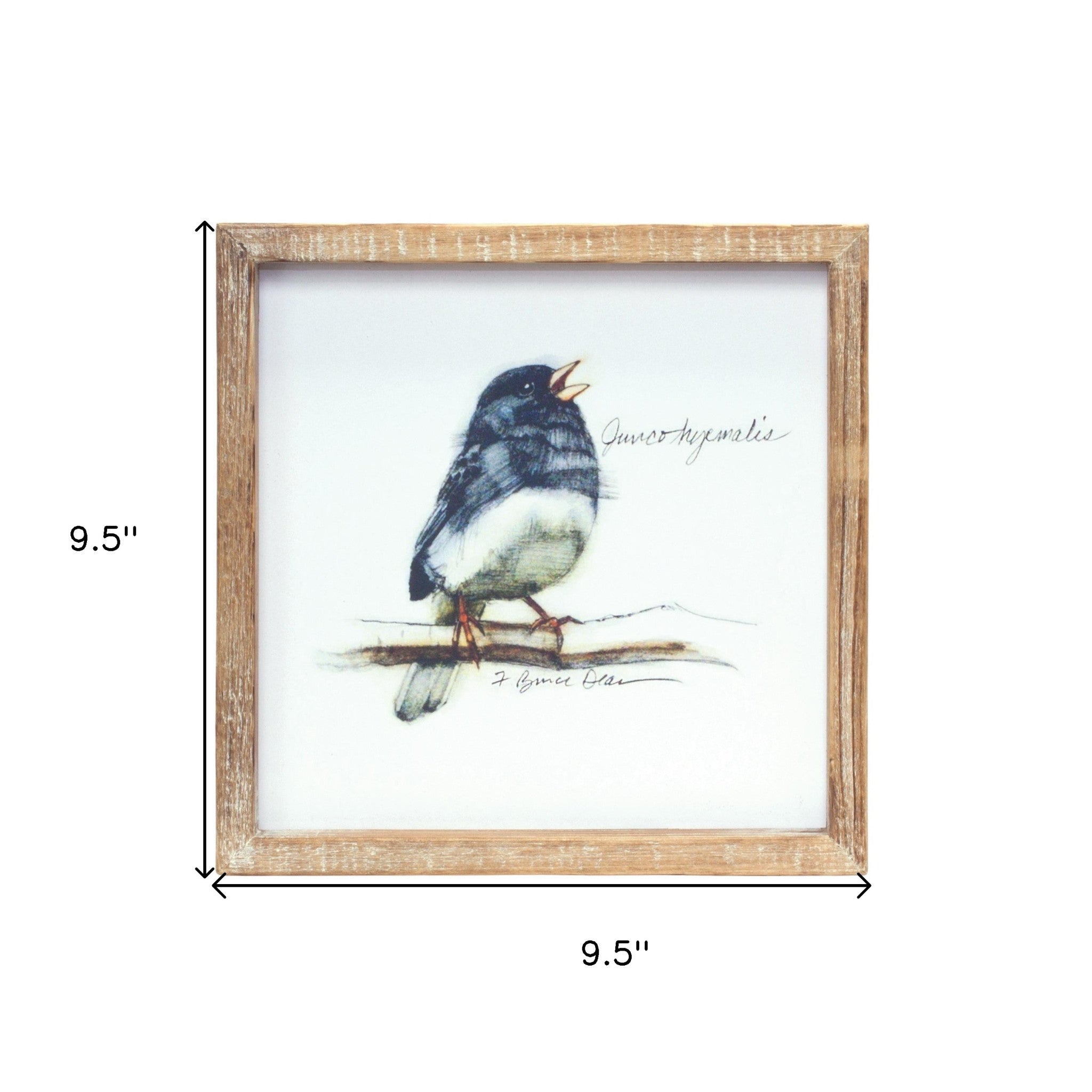 Set of Four Brown Bird Solid Wood Square Framed Art