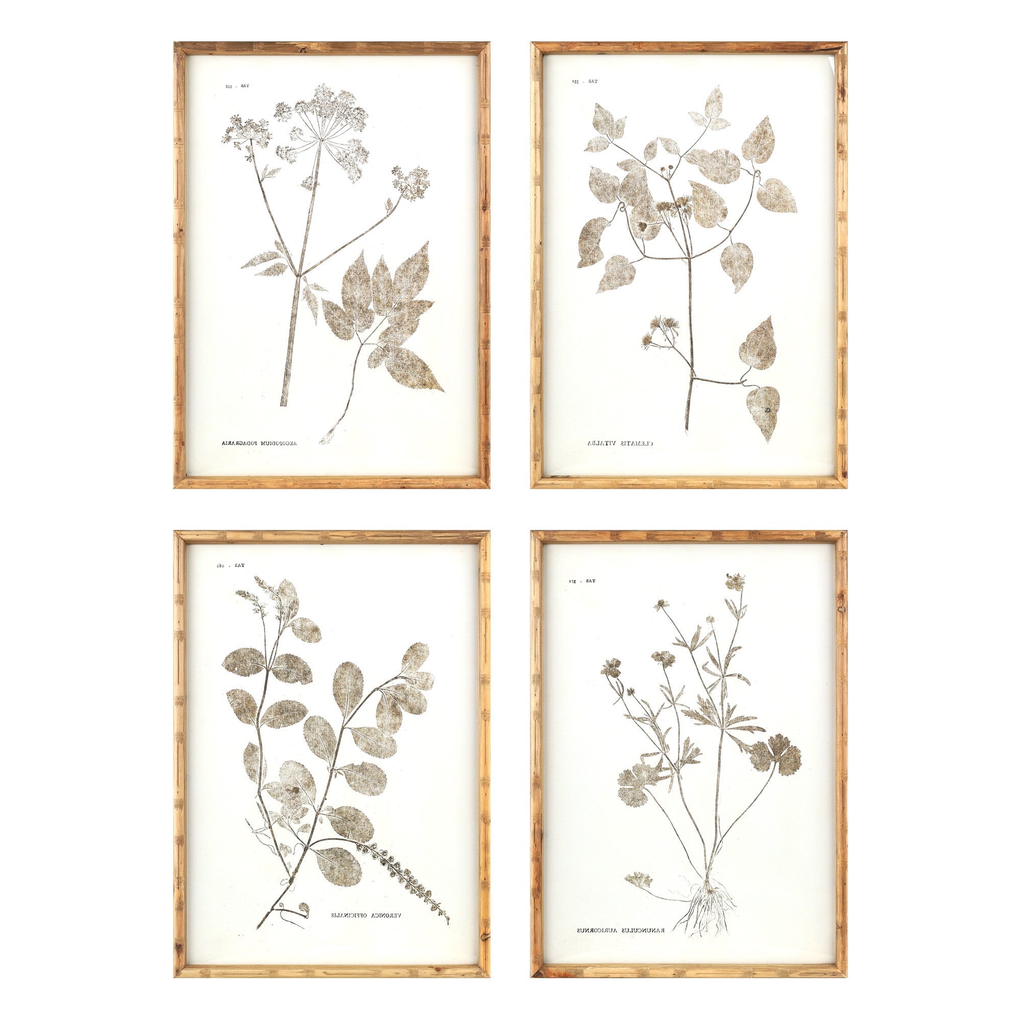 Set of Four 27.5" x 1.25" x 19.5" Brown Solid Wood Flower Wall Decor