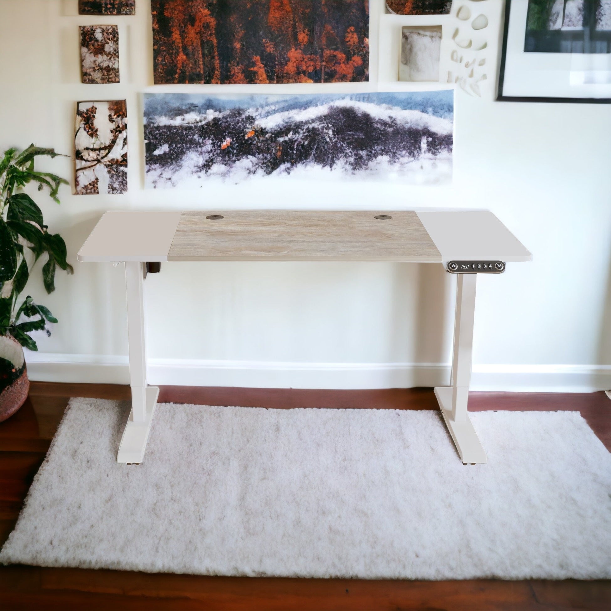 55" Adjustable White and Natural and White Computer Desk