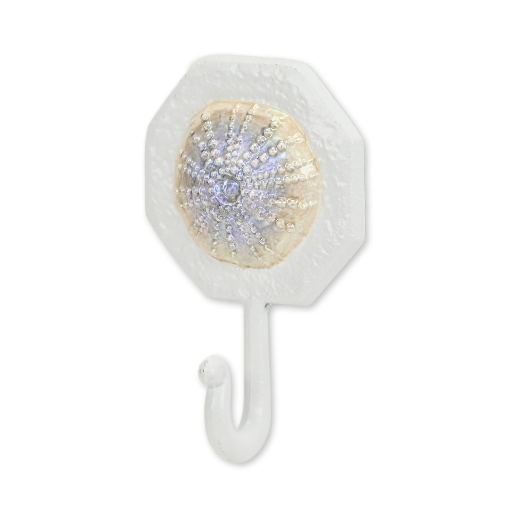 4" Pearl And White Cast Iron Sand Dollar Wall Hook