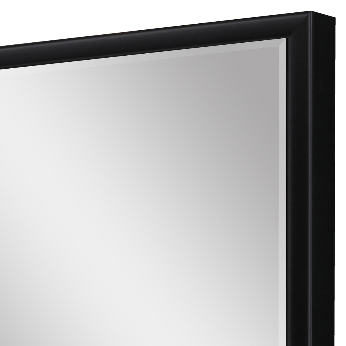 30" Black Solid Wood Framed Accent Mirror