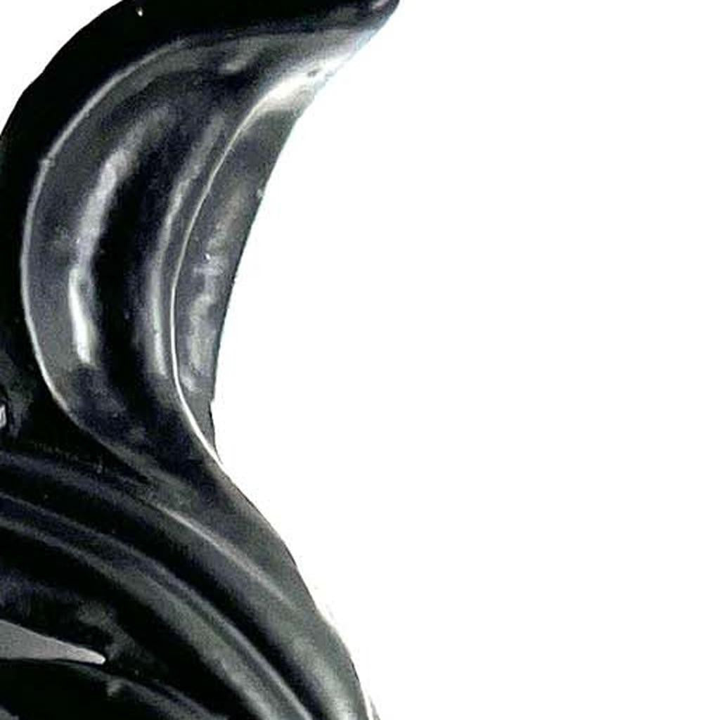 Set of Six Black Steel Feather Wall Hooks