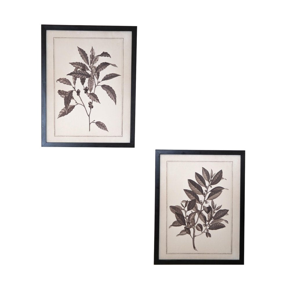 Set of Two Black And White Flower Framed Art