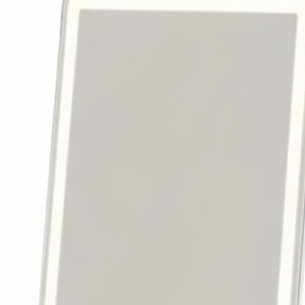 64" Clear Lighted Freestanding and Wall Mount Frameless Full Length Mirror