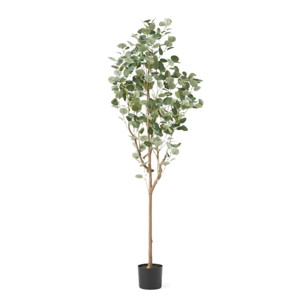 71" Green Artificial Eucalyptus Tree In Cylindrical Black Pot