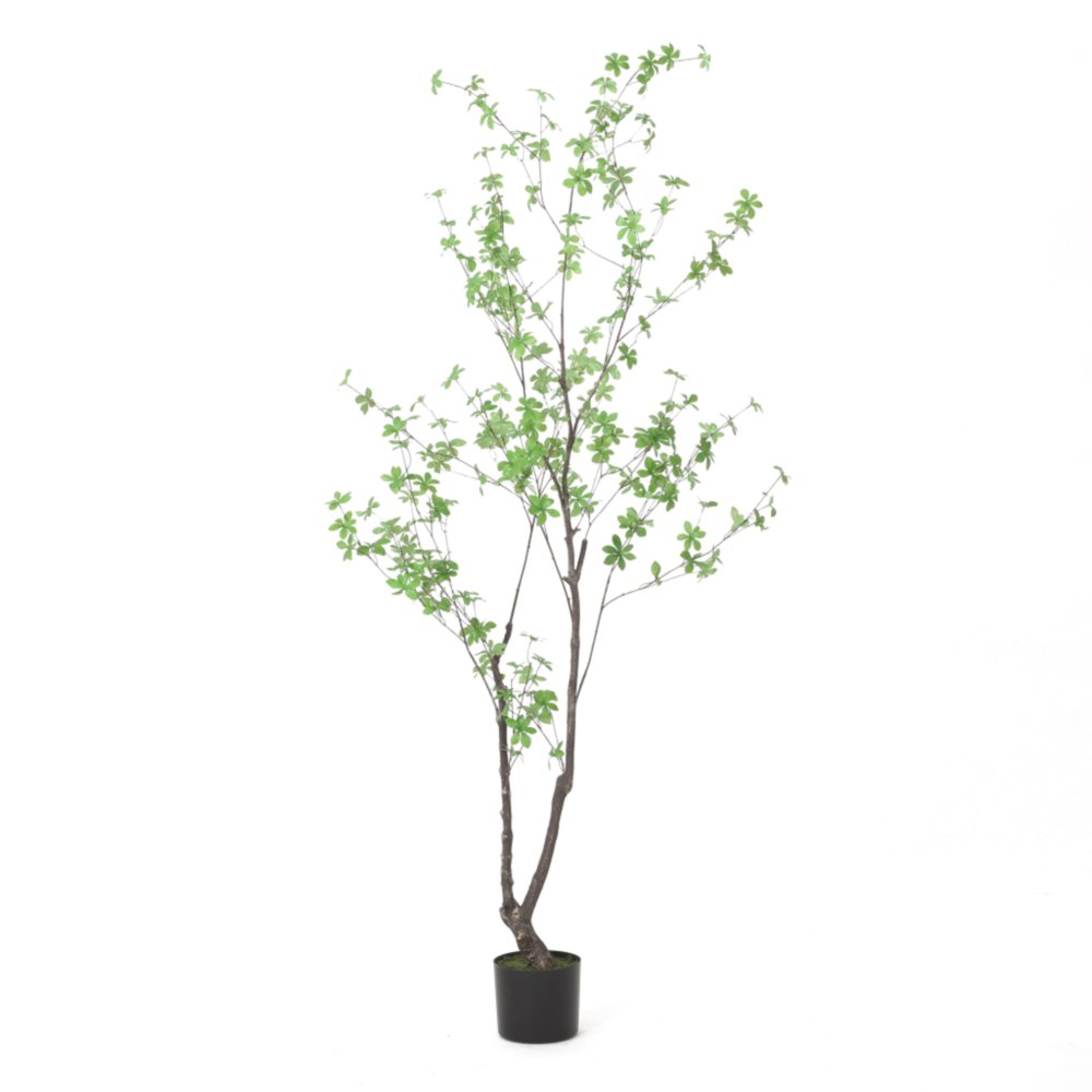 71" Green Artificial In Cylindrical Black Pot