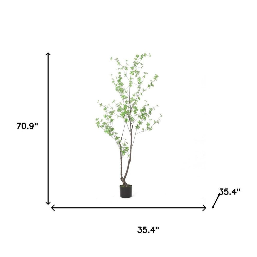 71" Green Artificial In Cylindrical Black Pot