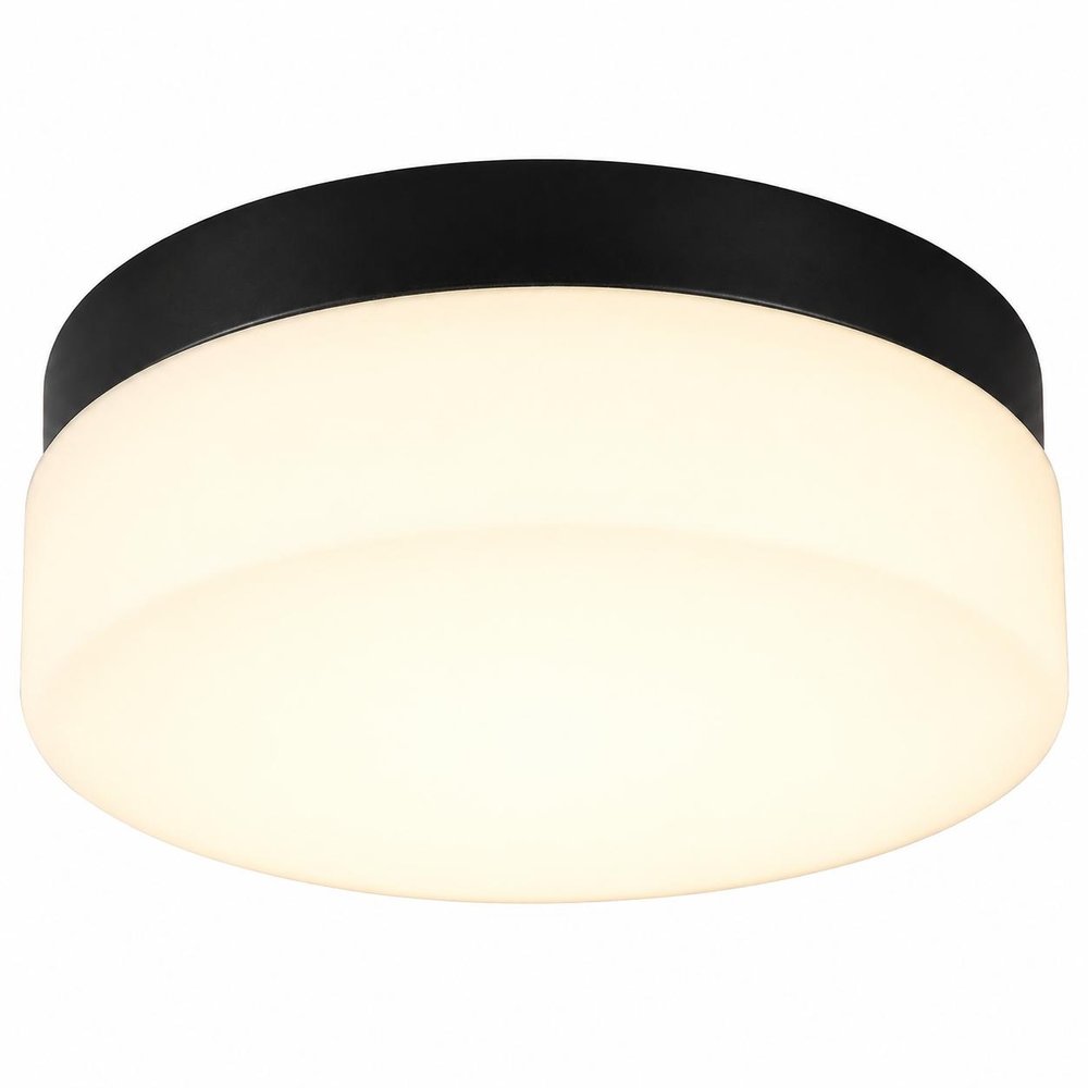 11" Black Metal And Glass Flush Mount Ceiling Light